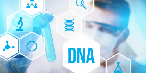 4 Reputable Genetic Testing Companies