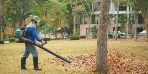 3 Popular Leaf Blowers to Choose From