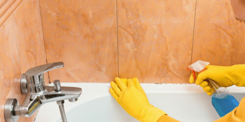 10 essential bathroom cleaning products for every home