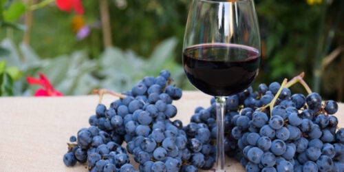 7 Must-Know Health Benefits Of Wine