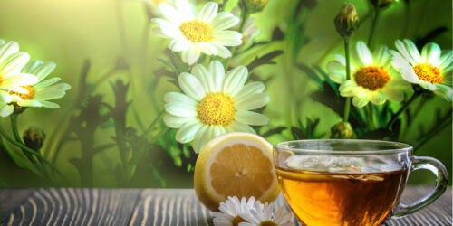 7 Reasons Why Chamomile Tea Is The Effective Lifesaver