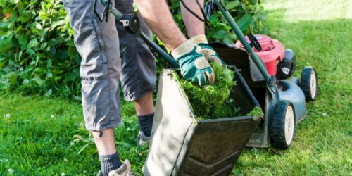 7 Tips to Get the Most from Your Garden Shredder