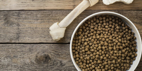 7 popular dog food brands to choose from