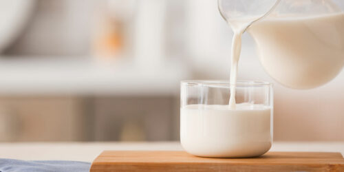 4 best lactose-free milk products to buy in 2021