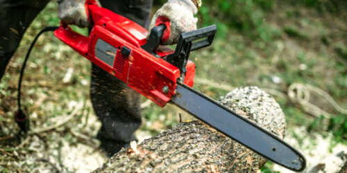 5 Best Chainsaw Brands You Should Buy