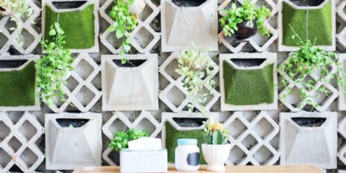 5 Ideas for a Small Garden at Home