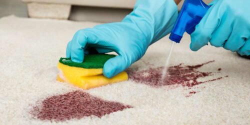 5 Popular Carpet Stain Removers to Choose From