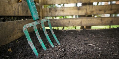 5 Reasons Why You Need a Compost Caddy