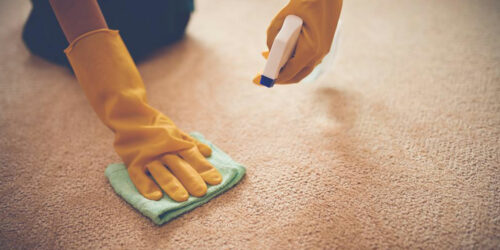 5 benefits of carpet cleaning services 