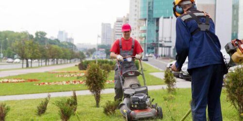 5 powerful edgers to revamp your lawn