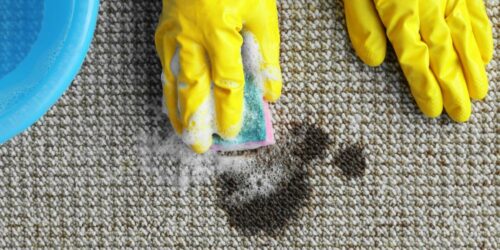 6 easy ideas for best carpet stain removers