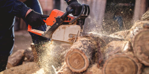 All You Need to Know When You Buy Chainsaws