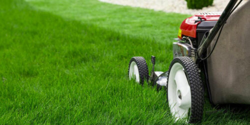 All you need to know about lawn mowers