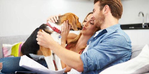 Benefits of availing a pet insurance