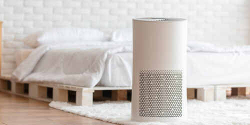 Best Molekule air purifiers of 2021