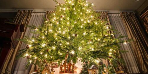 Best Deals on Prelit Christmas Trees