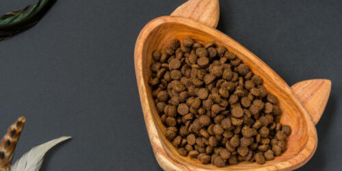 Best online companies of dry cat food sample from the U.S