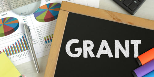 Government grants &#8211; What are they and who is eligible