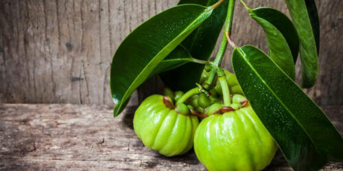 Garcinia cambogia &#8211; Know what you consume