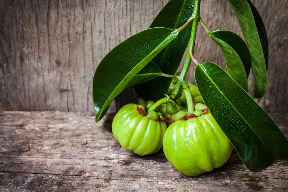 Garcinia cambogia &#8211; Know what you consume