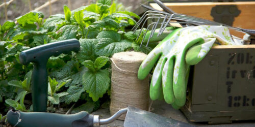 Garden Tools for Gorgeous Outdoors