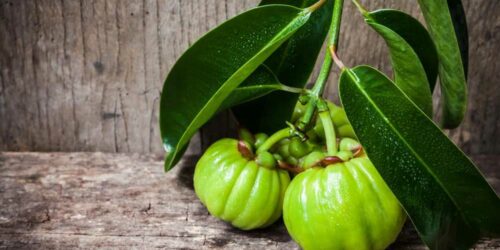 Getting a Closer Look at the Garcinia Cambogia Side Effects