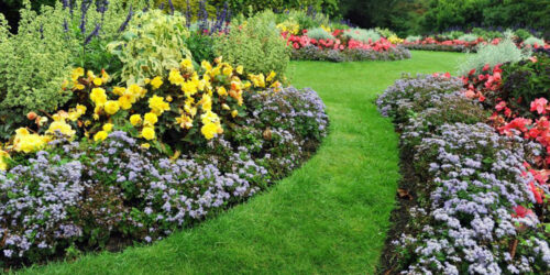 Green spaces and garden remodeling