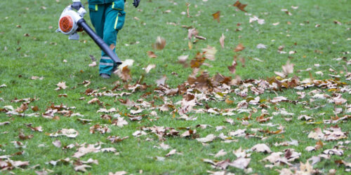 Guide to Choosing a Gas Leaf Blower