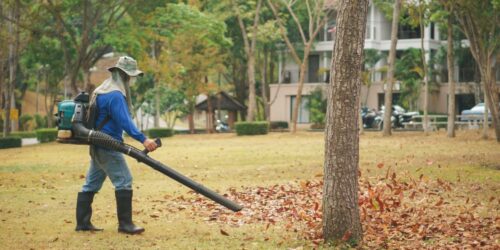 Guide for buying the best leaf blower