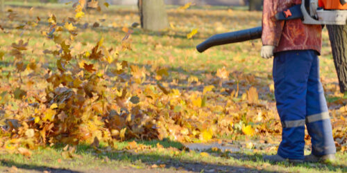 Guidelines To Select The Best Leaf Blower