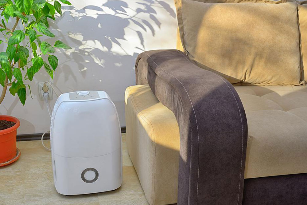 Dehumidifier buying guide