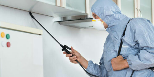 Different types of pest control methods