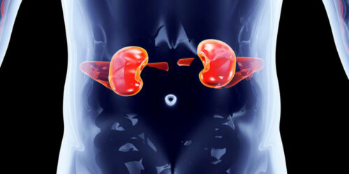 Effective measures to prevent kidney disorders