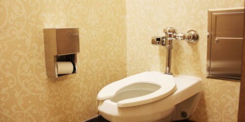 Essentials that make disability bathrooms comfortable