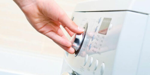 Everything you need to know about freeze dryers