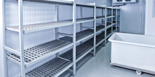 Evolution of Food Storage from Ice Men to Freezers