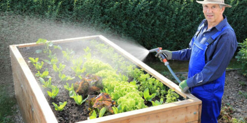 Four smart tips that every newbie gardener should know