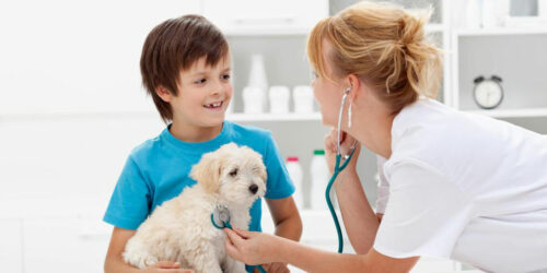 Factors that can affect the cost of pet care