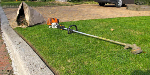 Factors to consider before buying a weed trimmer