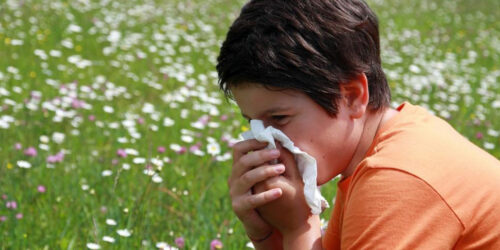 Five food items to fight pollen allergy