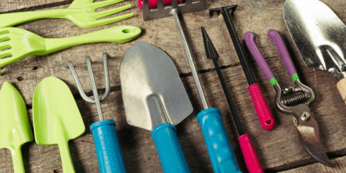 Keep your garden weed-free and clean with right garden tools