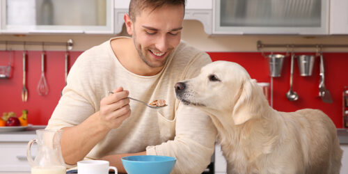 How To Choose The Best Dog Food For Your Furry Friend