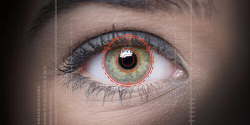 How does the retina work?