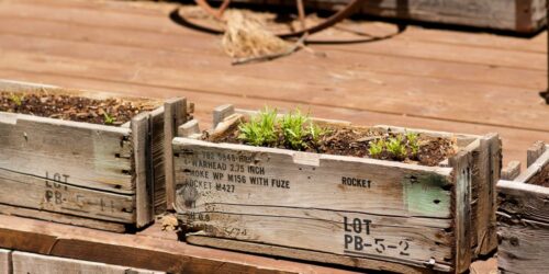 How to Build a Wooden Planter Box