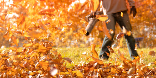 How to Choose the Best Leaf Blower