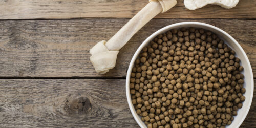 How to Pick the Right Dog Food for a Sensitive Stomach