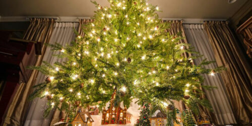 How to choose the right sized Christmas tree for your home