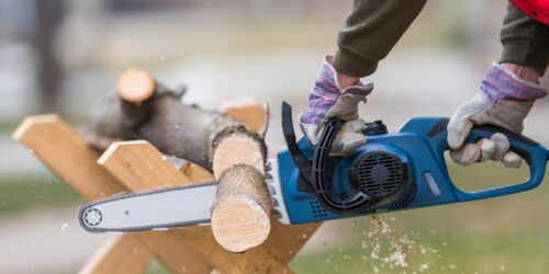 How to choose a chainsaw for your garden