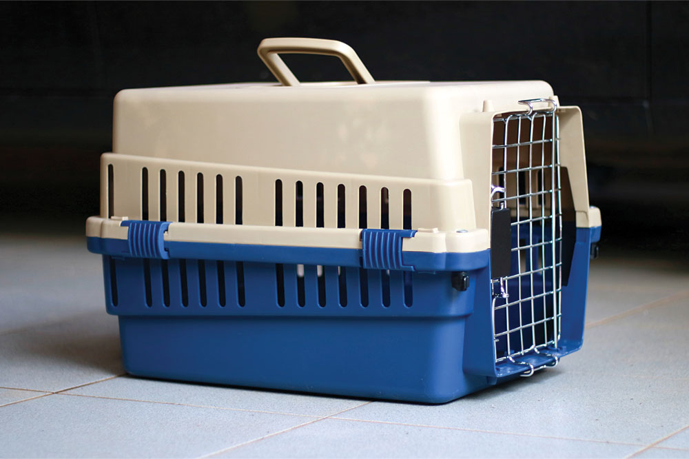 How to choose a large pet carrier