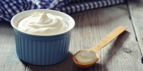 How to make probiotic yogurts with cheese and mayo?